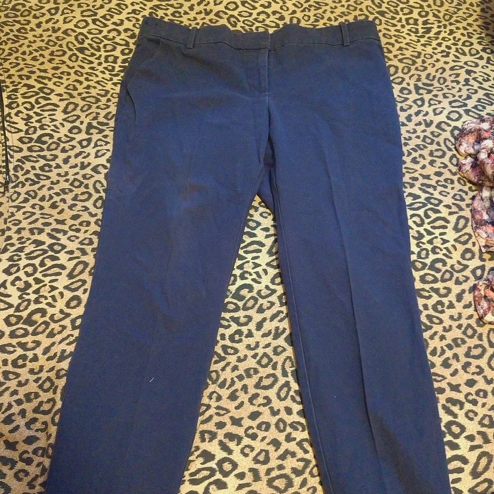Navy skinny pants